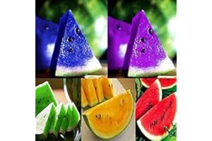 MITRAEE Fresh 100pcs Watermelon Fruit Seeds for Planting Yellow