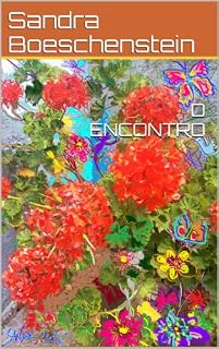 Livro O ENCONTRO