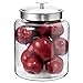 Anchor Hocking Montana Glass Jar with Fresh Sealed Lid, Brushed Metal, 2 Gallon primary