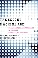 The Second Machine Age: Work, Progress, and Prosperity in a Time of Brilliant Technologies