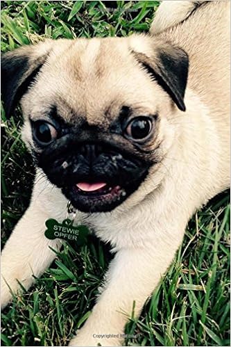 pug dog price in amazon