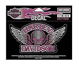 Harley-Davidson Winged Willie G Skull Decal, Medium Size Sticker DC715303