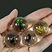 REALBUG Beetle Marbles 4pcs Set