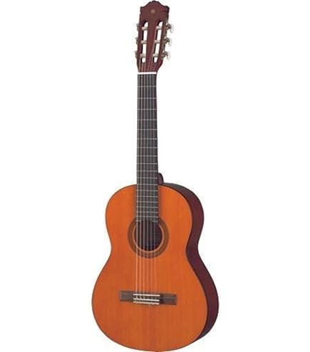 Amazon.com: GEWA E-Acoustic Classical Guitar BASIC 1/2