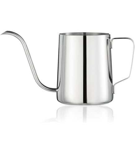 Amazon.com: Blomus Planto Stainless Steel Watering Can, 1 L