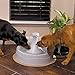 PetSafe Drinkwell 360 Pet Water Fountain, Filtered Water for Dogs and Cats, BPA-Free Plastic, 128 oz. Water Capacitythumb 4