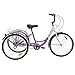 Royal London Adult Tricycle 3 Wheeled Trike Bicycle w/Wire Shopping Basket Purplethumb 2