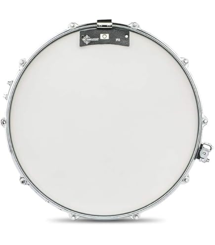 TAMAちゅーん Tama Hp9-6N Speedo Ring - Pedal Bearing | eBay