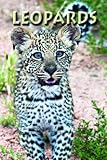 Leopards (Zoo Kids)