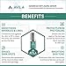 Avila Skincare Ageless Serum- Best Selling Serum Formula To Boost Collagen and Elastin, Deeply Hydrate Skin and Diminish Fine Lines and Wrinkles - Improved Formula