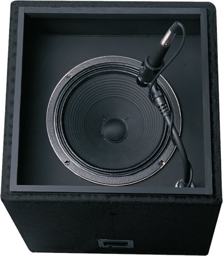 Randall ISO12C Isolation Cabinet for Guitar