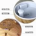 Zenoplige Essential Oil Diffuser with Water Aromatherapy 600ML Globe Cool Mist Humidifier Ultra Quiet Ultrasonic Nebulizer Filter Free Last Overnight Shadow Wood Grain
