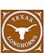 NCAA Texas Longhorns 16 piece 