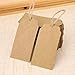 G2PLUS Kraft Paper Gift Tags with String, 100PCS Blank Gift Tags, Christmas Gift Tag, Holiday Hangtags for Gift Wrapping, DIY Arts & Crafts, Halloween(2X 4 in)