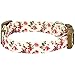 Blueberry Pet 7 Patterns Spring Scent Inspired Pink Rose Print Ivory Adjustable Dog Collar, Large, Neck 18