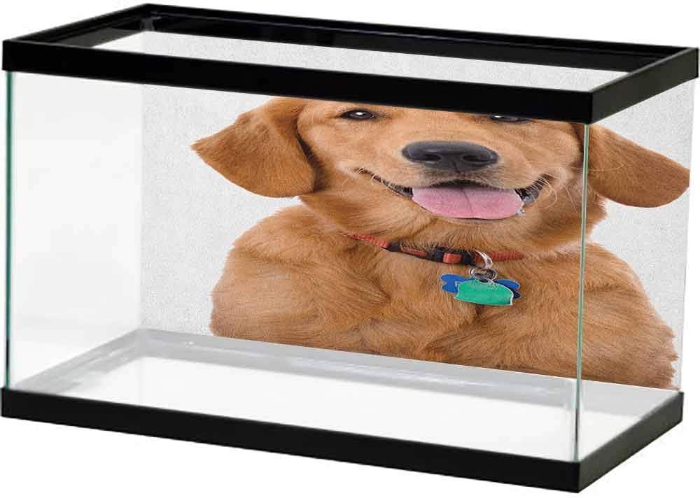 homecoco Image Decor Going Away Party,Retro Airplane Poster Inspired Bon Voyage Lets Travel Fly Vintage Print, Blue Red Grey Double-Sided Adhesive Wallpaper