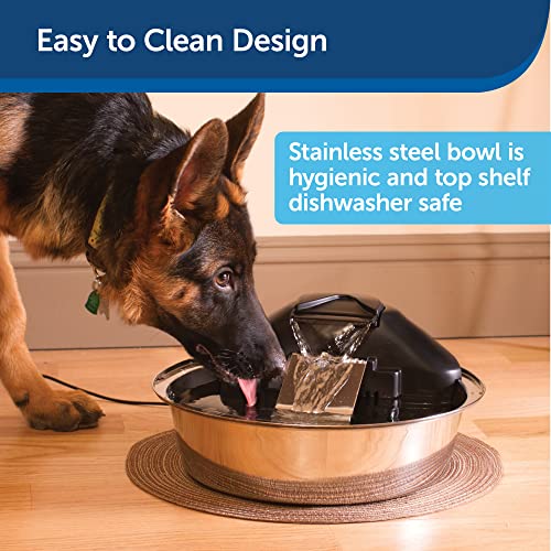 PetSafe Drinkwell Zen Stainless Steel Dog and Cat Water Fountain, Pet