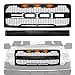 Front Grille Fits For 2009-2014 Ford F-150 F150 Grille Matte Black Raptor Style Grille Conversion Grill with Letters F,R and Evil eyes Style Detachable Cover