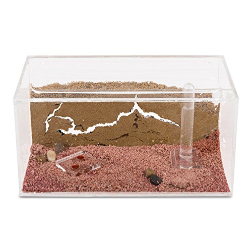 Sand Ant Farm - Educational formicarium for Live Ants