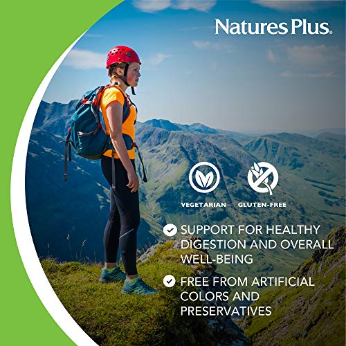 NaturesPlus Papaya Enzyme - 6 mg Papain, 360 Chewable Tablets - All Natural Digestive Aid Supplement, Contains Amylase & Protease - Vegetarian, Gluten-Free - 360 Servings - Thumbnail 3