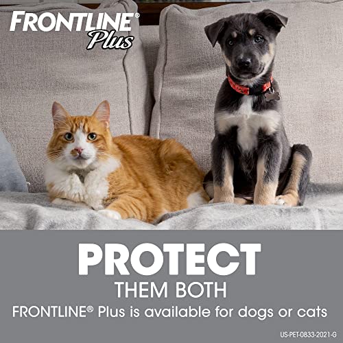 Frontline Plus for Cats and Kittens (1.5 pounds and over) Flea and Tick