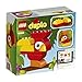 LEGO DUPLO My First Bird 10852 Building Kit