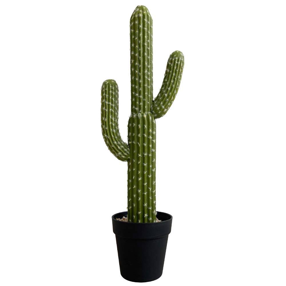 Buy momo Artificial Cactus Succulent , 24 Inch Faux Fake Desert Cacti
