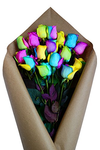 Rainbow Roses Bouquet by Flower Explosion | Fresh Tinted Rainbow Roses - 12 Stems