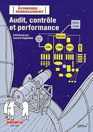 Audit, contrôle et performance