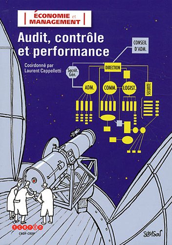 Audit, contrôle et performance