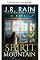Livro Spirit Mountain (De maravilhas e encantamento Livro 6)