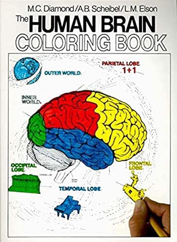 A Colorful Introduction to the Anatomy of the Human Brain: A Brain