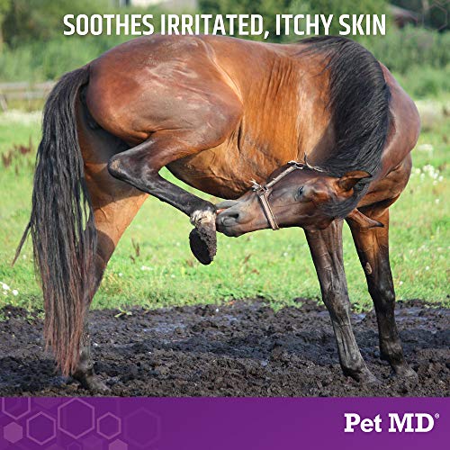 Pet MD MicosebCX Medicated Shampoo for Dogs, Cats, Horses with