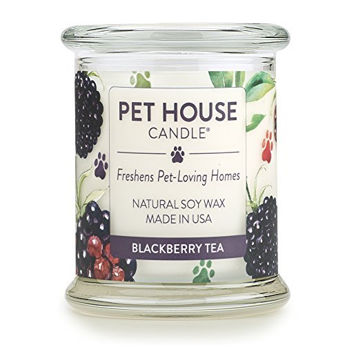 One Fur All - 100% Natural Soy Wax Candle, 20 Fragrances - Pet Odor Eliminator, Up to 60 Hours Burn Time, Non-Toxic, Eco-Friendly Reusable Glass Jar Scented Candles â€“ Pet House Candle, BlackBerry Tea