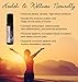 WELLNESS Gem Water Bottle by VitaJuwel w/FREE Wellness Essential Oil. Gemstone Pod Contains Rose Quartz, Amethyst and Clear Quartz