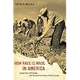 How Race Is Made in America: Immigration, Citizenship, and the Historical Power of Racial Scripts (Volume 38) (American Cross