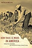 161 Chicana Power Contested Histories Of Feminism In The