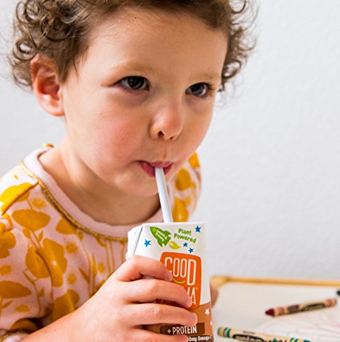 Good Karma Flaxmilk Vanilla 6.75 oz. Lunchbox Cartons (Shelf Stable 12 Pack) Great for Kids' School Lunches This Vanilla Flavored Dairy Free Milk Alternative Is Nut Free and Soy Free and Gluten-Free - Thumbnail 7