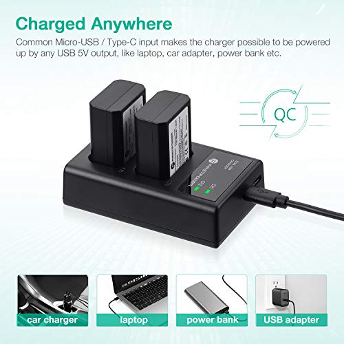 FirstPower NPFW50 Battery 2Pack and USB Dual Charger Compatible with