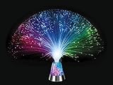 Westminster Multi-Sensory Glacier Fiber Optic Light