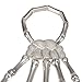 Silver Cool Punk Rock Skeleton Skull Hand Bone Ring Bracelet