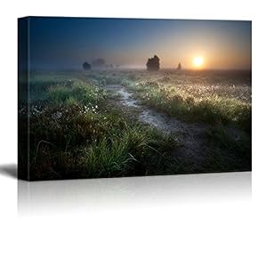 Beautiful Scenery Landscape Misty Sunrise Over Countryside Path...