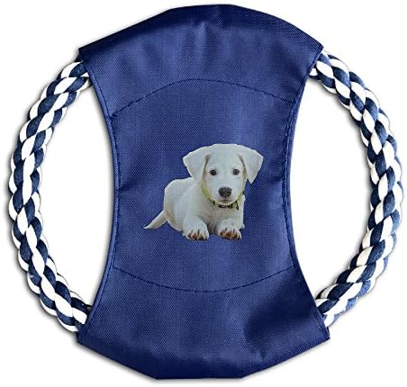 Hyhyhei Dog Puppy Dog Pet Toy Training 7.5 Inch Canvas Frisbee Flyer Throw Tug Flying Discs Outdoor Training Chew Bite Toy Braided Cotton Rope Ring