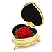 Valentines Day Gifts for Her Women, Preserved Real Flower with Gift Box, Anniversary Women Gifts for Her Wife Girlfriend Enchanted Real Rose on Birthday Valentine’s Day Anniversary Mother's Day