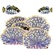 Underwater Anemone Field Wall Sticker Mural