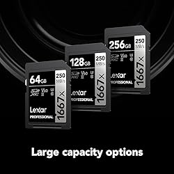 Lexar 64GB Professional 1667x SD