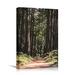 signwin Canvas Wall Art Green Forest Dramatic Forest...