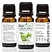BioFinest Green Apple Fragrance Oil - 100% Pure & Natural - Fresh Home Scent - Air Refresher - Relaxing Aromatherapy - Skin and Hair Care - FREE E-Book (10ml)