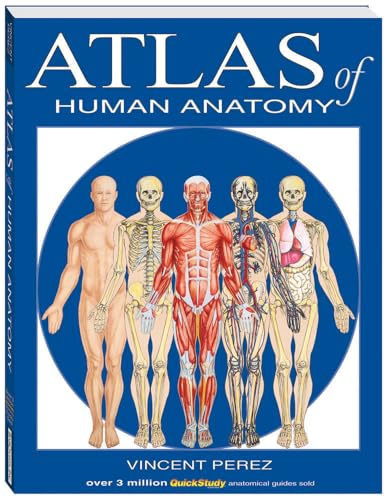Atlas Of Human Anatomy (Bar Charts, Inc)