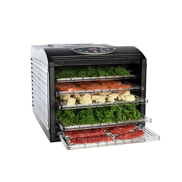 Electric-Beef-Jerky-Countertop-Food-Dehydrator-for-a-Healthy-Diet-Extend-Shelf-Life-with-6-Drying-Racks-Digital-Temperature-Controls-and-Timer-with-Automatic-Shutoff-Even-Dry-From-95F-to-158F